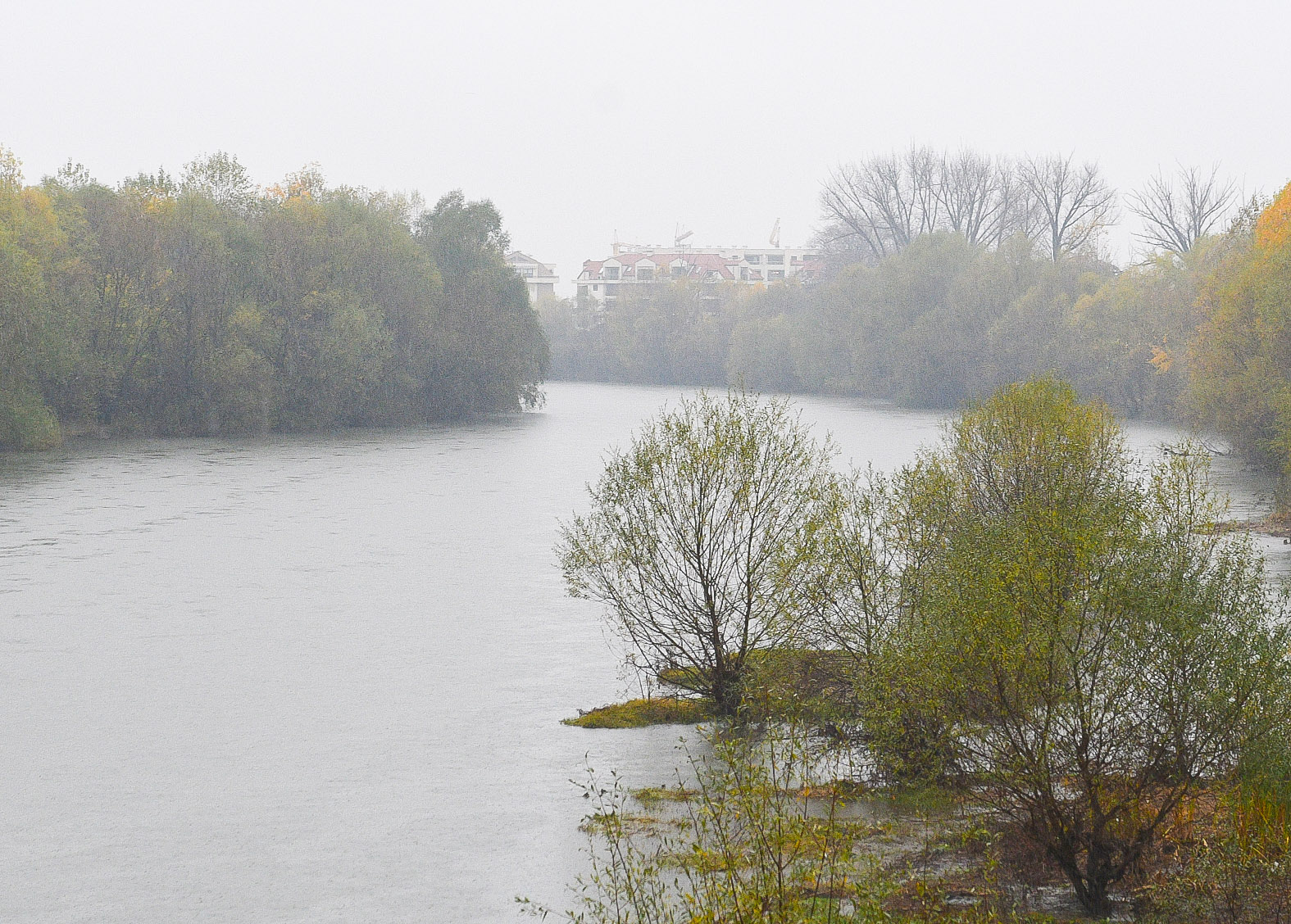 Потайностите на джунглата, обгърнала река Марица в Пловдив, отдавна крият