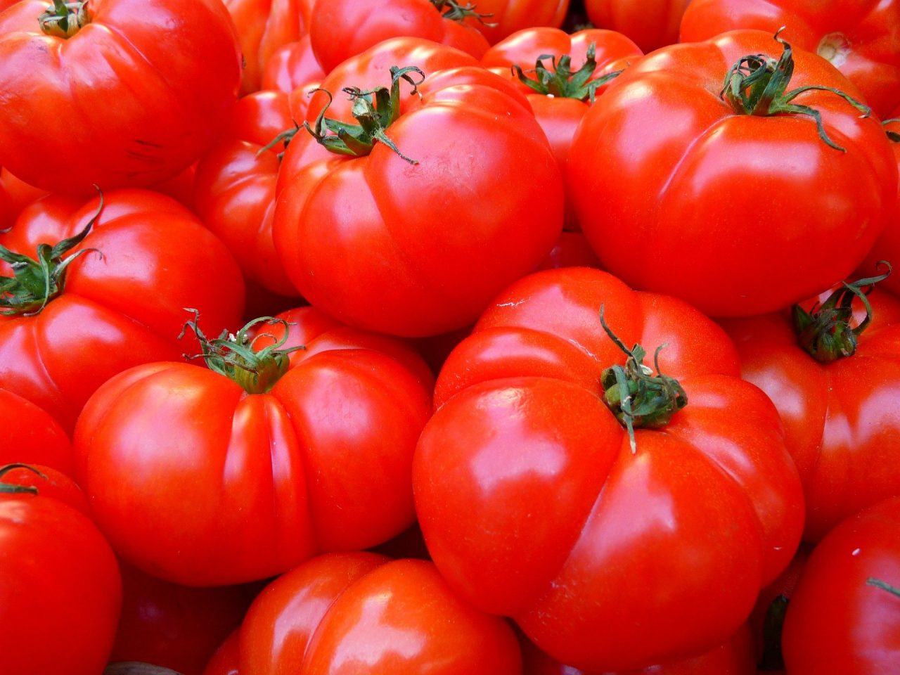 tomatoes-5356_1920-1280x960.jpg