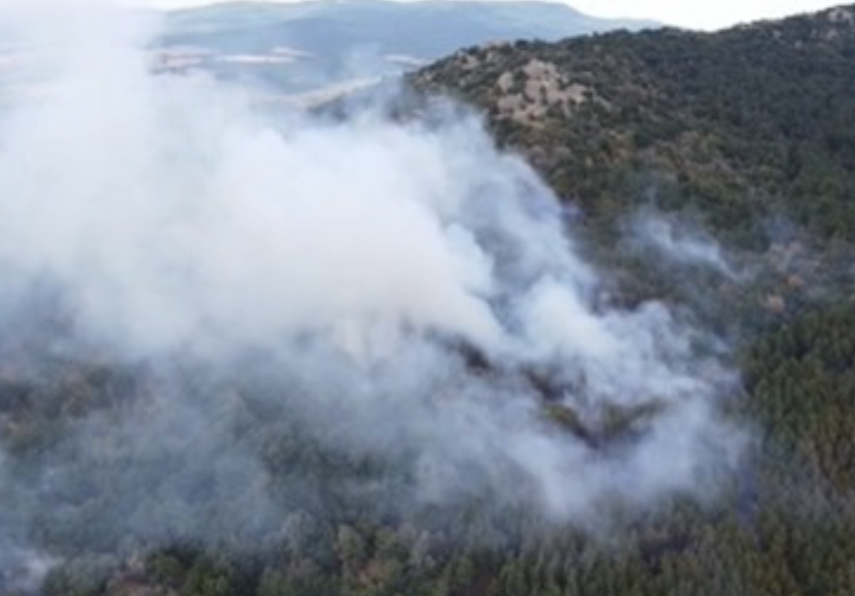 Осем пожарни гасят голям пожар в гора между селата Оряхово