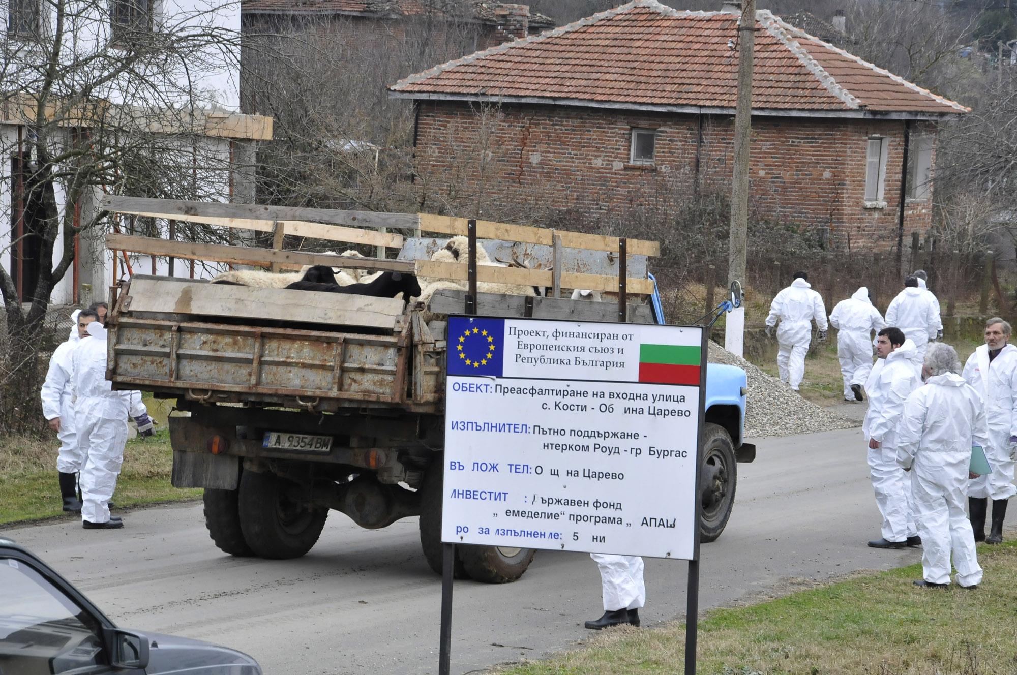 Българската агенция по безопасност на храните БАБХ потвърди четири огнища