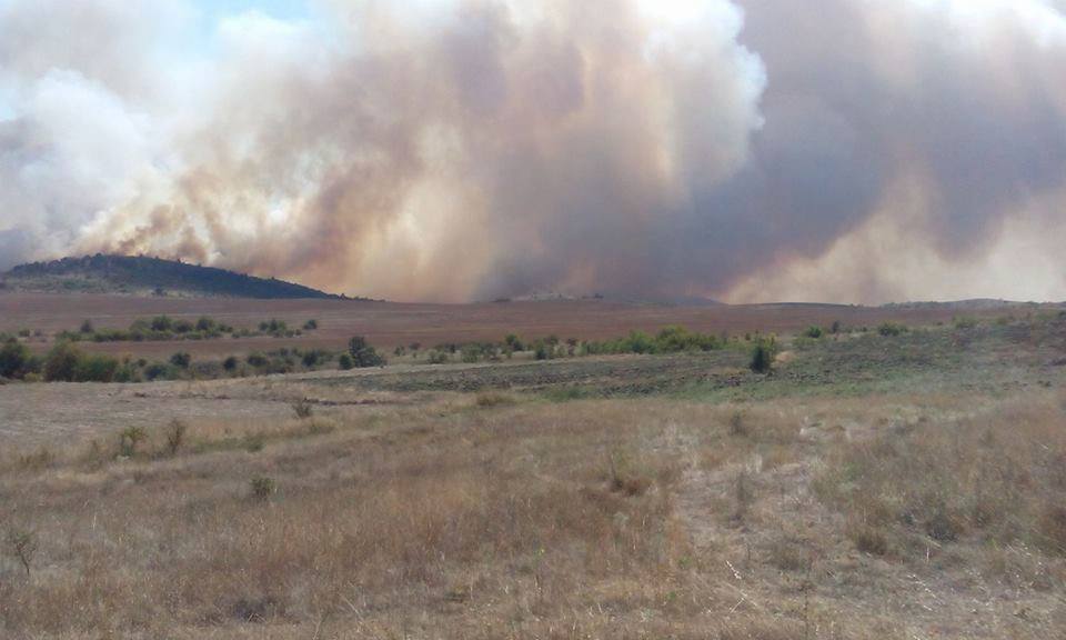 Пожар е обхванал гора край чирпанското село Пъстрово съобщава NOVA