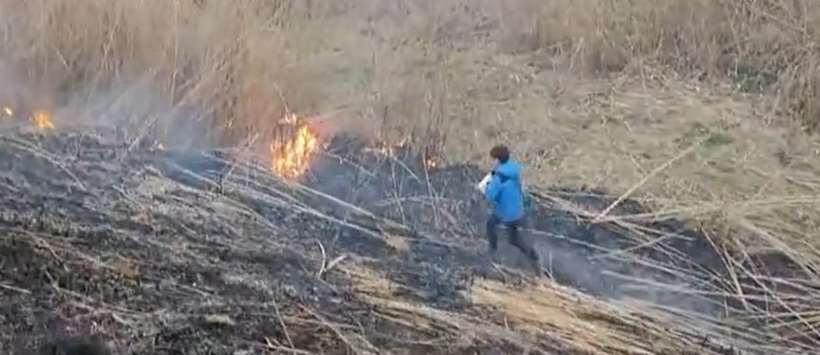 12 годишно момче от Бургас спря разразил се пожар край езеро