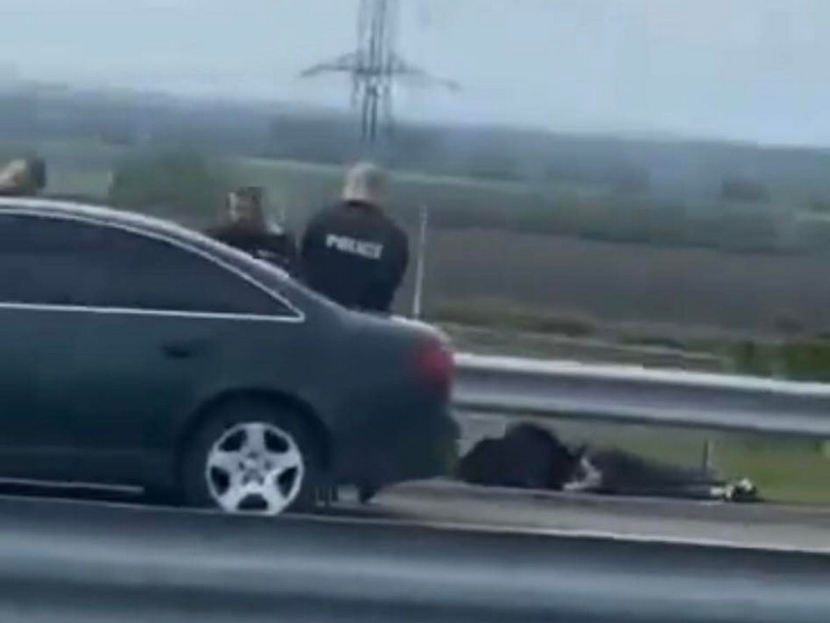 Мъж лежи на земята на пътя за Българево с белезници.