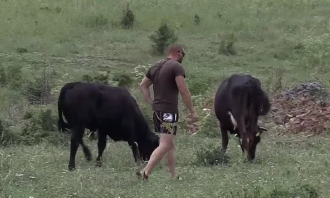 В село Стефан Караджово се чувстват тормозени от крупния земеделец
