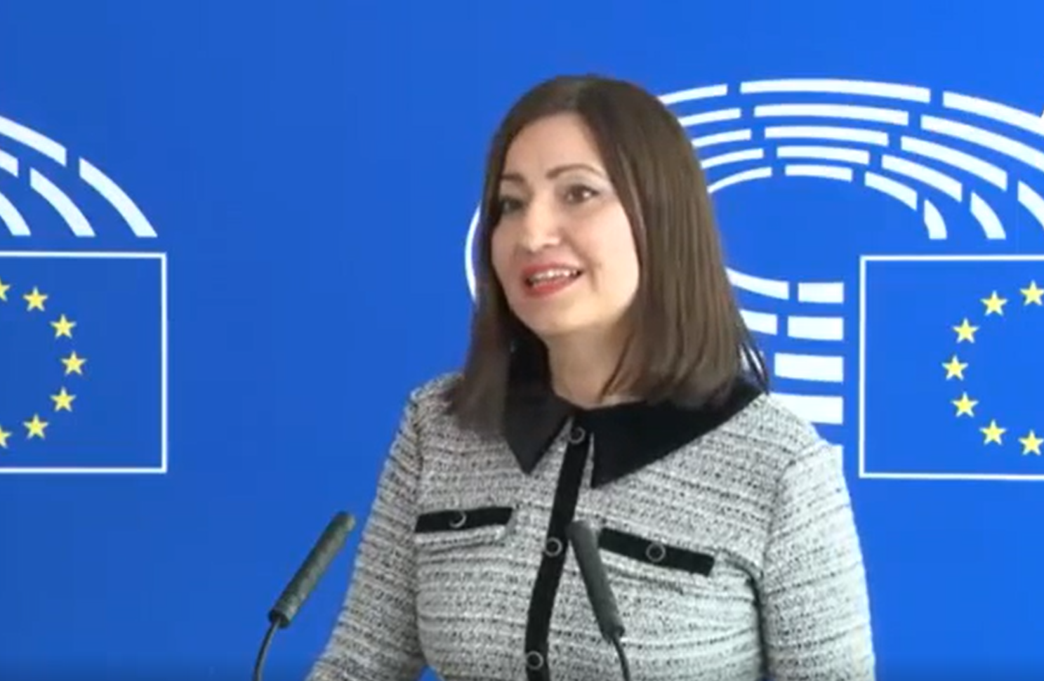 Съветът на Европейския съюз ЕС съобщи че назначава Илиана Иванова