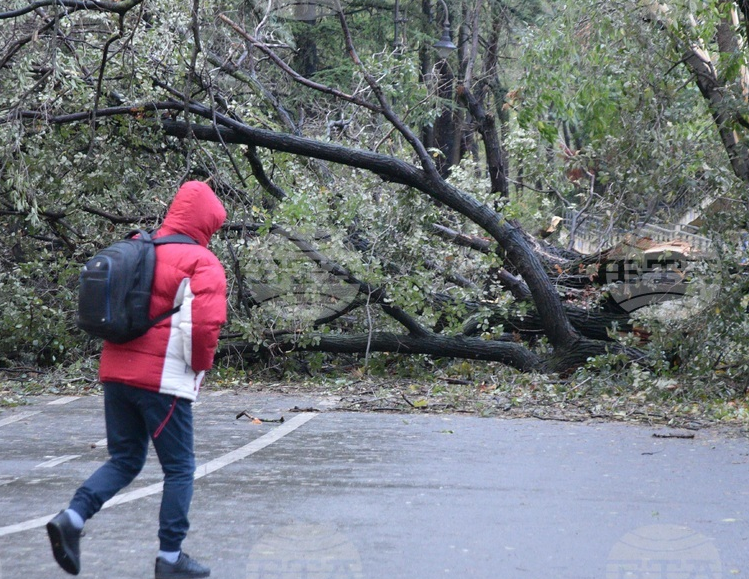 Варна обяви бедствено положение заради силния ураганен вятър и валежи. Налице