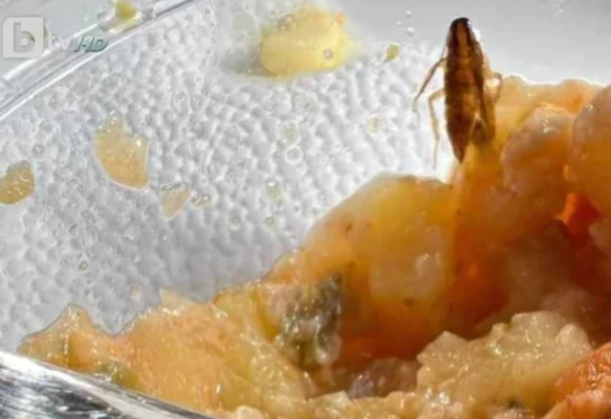 Майка сигнализира за хлебарка открита в храната на детето ѝ
