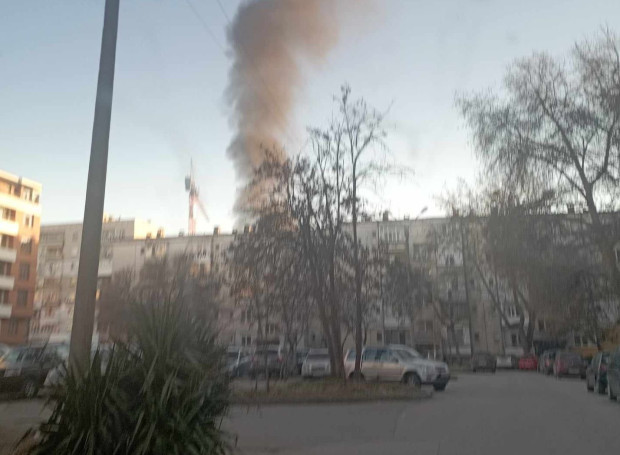 Пожар гори в южната част на Пловдив Все още не