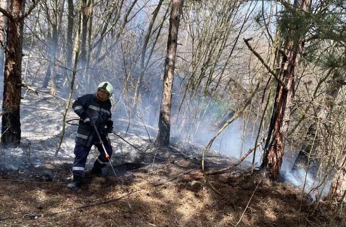 Пожар е обхванал близо 50 декара борова гора в района